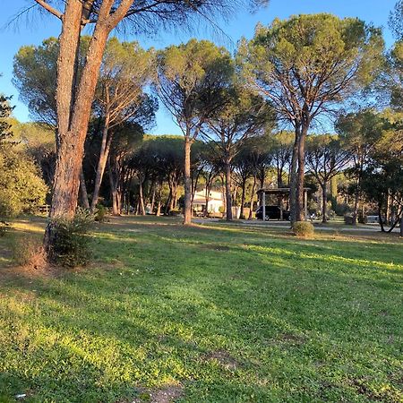 Residence Gabrielle Le Cannet Des Maures Εξωτερικό φωτογραφία